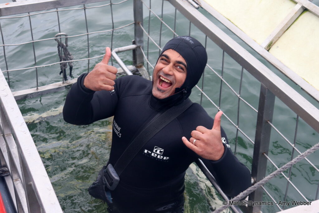 Shark cage diving, Ganbsaai, South Africa
