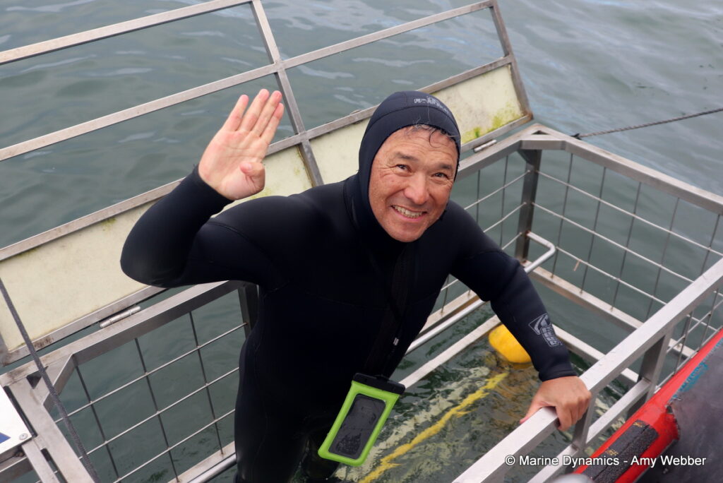 Shark cage diving, Ganbsaai, South Africa