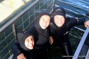 Shark cage diving, Gansbaai, South Africa
