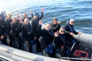 Shark cage diving, Gansbaai, South Africa