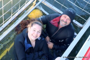 Shark cage diving, Gansbaai, South Africa