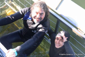 Shark cage diving, Gansbaai, South Africa
