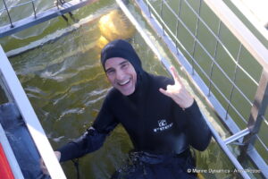 Shark cage diving, Gansbaai, South Africa