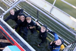 Shark cage diving, Gansbaai, South Africa