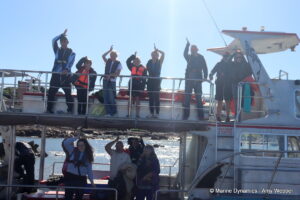 Shark cage diving, Gansbaai, South Africa