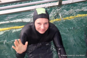 Shark cage diving, Gansbaai, South Africa