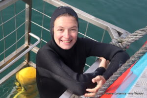 Shark cage diving, Gansbaai, South Africa