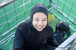 Shark cage diving, gansbaai, South Africa