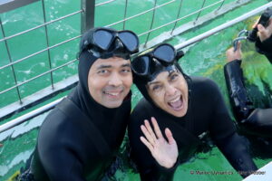 Shark cage diving, gansbaai, South Africa