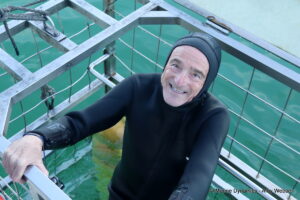 Shark cage diving, gansbaai, South Africa