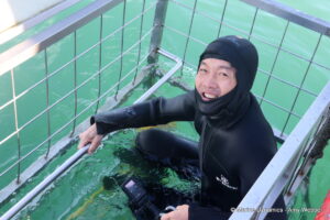 Shark cage diving, gansbaai, South Africa