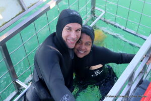 Shark cage diving, gansbaai, South Africa