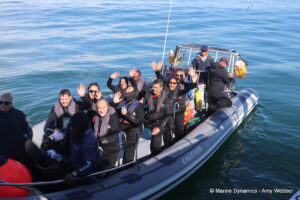 Shark cage diving, gansbaai, South Africa