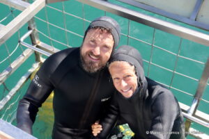 Shark cage diving, gansbaai, South Africa