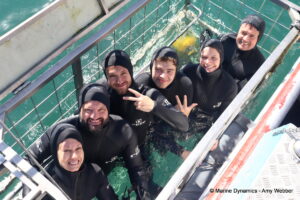 Shark cage diving, gansbaai, South Africa