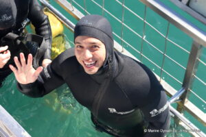 Shark cage diving, gansbaai, South Africa