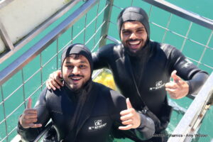 Shark cage diving, gansbaai, South Africa