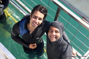 Shark cage diving, gansbaai, South Africa