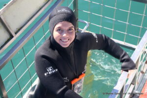 Shark cage diving, gansbaai, South Africa