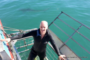 Shark cage diving, gansbaai, South Africa