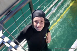 Shark cage diving, gansbaai, South Africa