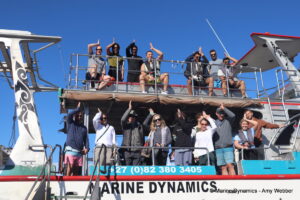 Shark cage diving, gansbaai, South Africa