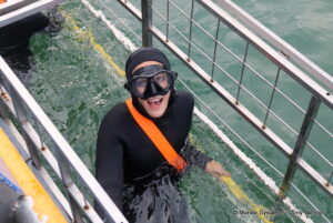 Shark cage diving, Gansbaai, South Africa