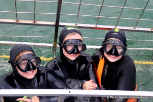 Shark cage diving, Gansbaai, South Africa