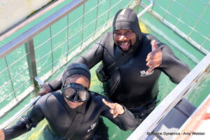 Shark cage diving, Gansbaai, South Africa