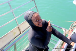 Shark cage diving, Gansbaai, South Africa