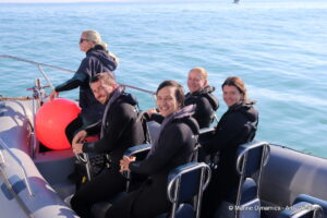 Shark cage diving, Gansbaai, South Africa