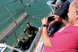 Shark cage diving, Gansbaai, South Africa