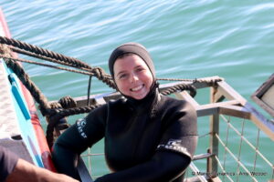 Shark cage diving, Gansbaai, South Africa