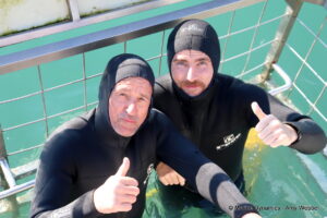 Shark cage diving, Gansbaai, South Africa