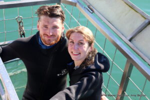Shark cage diving, Gansbaai, South Africa