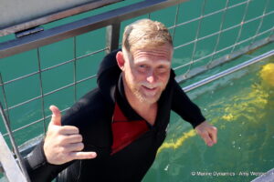 Shark cage diving, Gansbaai, South Africa