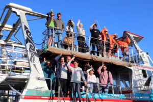 Shark cage diving, Gansbaai, South Africa