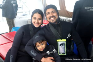 Shark cage diving, Gansbaai, South Africa