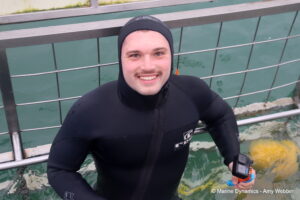 Shark cage diving, Gansbaai, South Africa