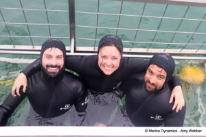 Shark cage diving, Gansbaai, South Africa