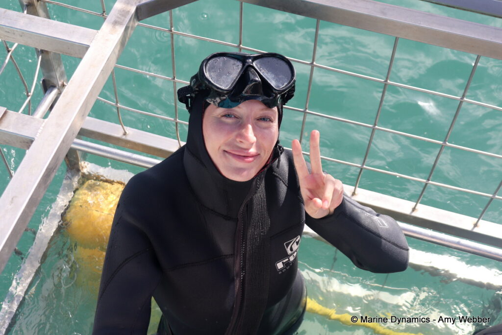 Shark cage diving, Gansbaai, South Africa