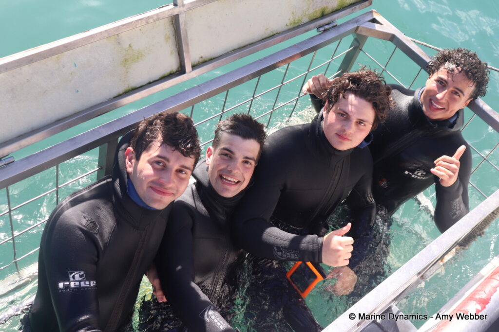 Shark cage diving, Gansbaai, South Africa