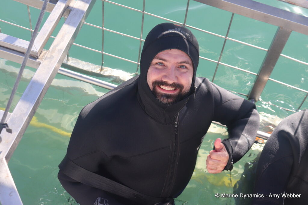 Shark cage diving, Gansbaai, South Africa