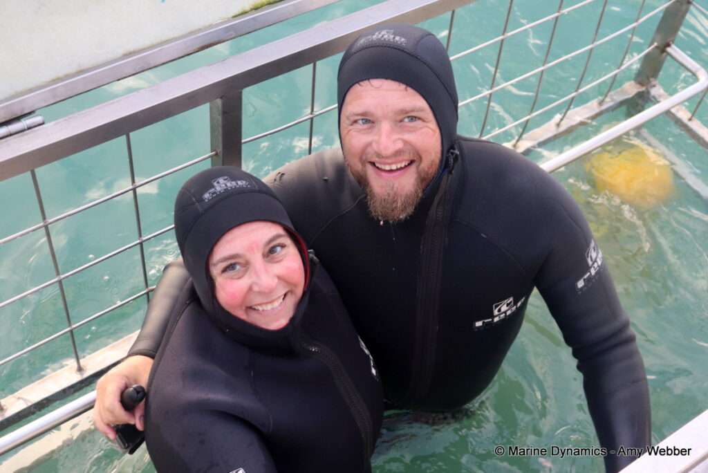 Shark cage diving, Gansbaai, South Africa