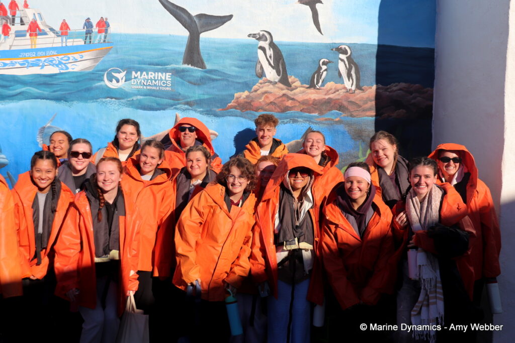 Shark cage diving, Gansbaai, South Africa