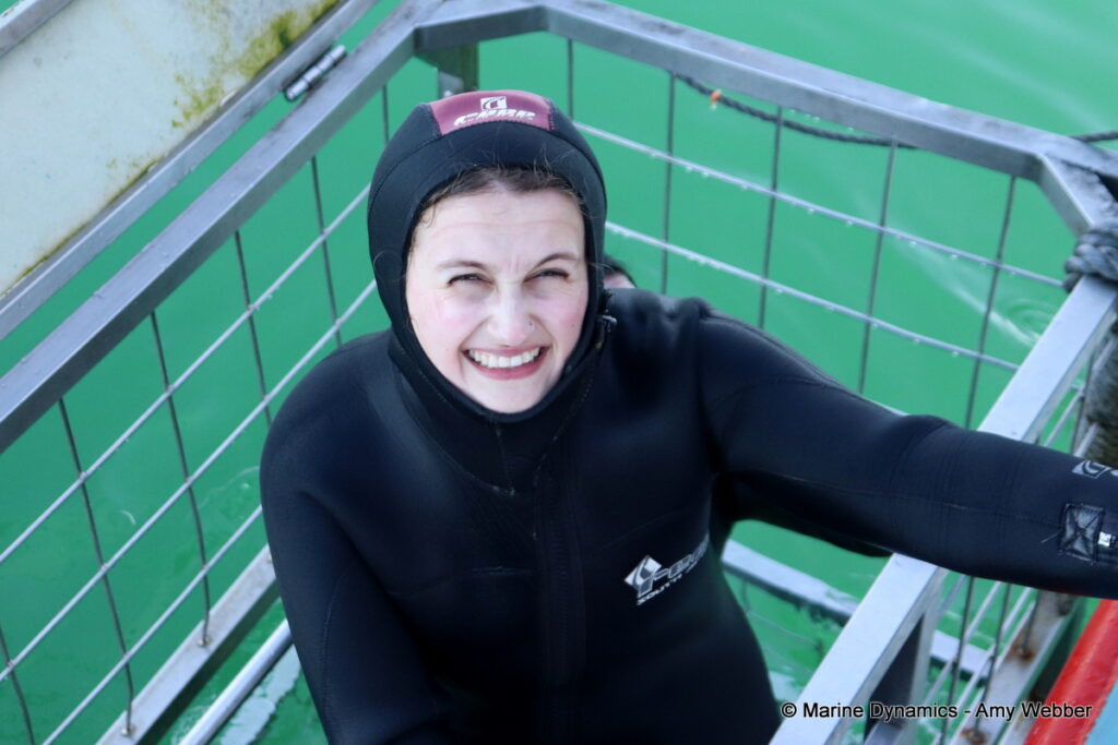 Shark cage diving, Gansbaai, South Africa