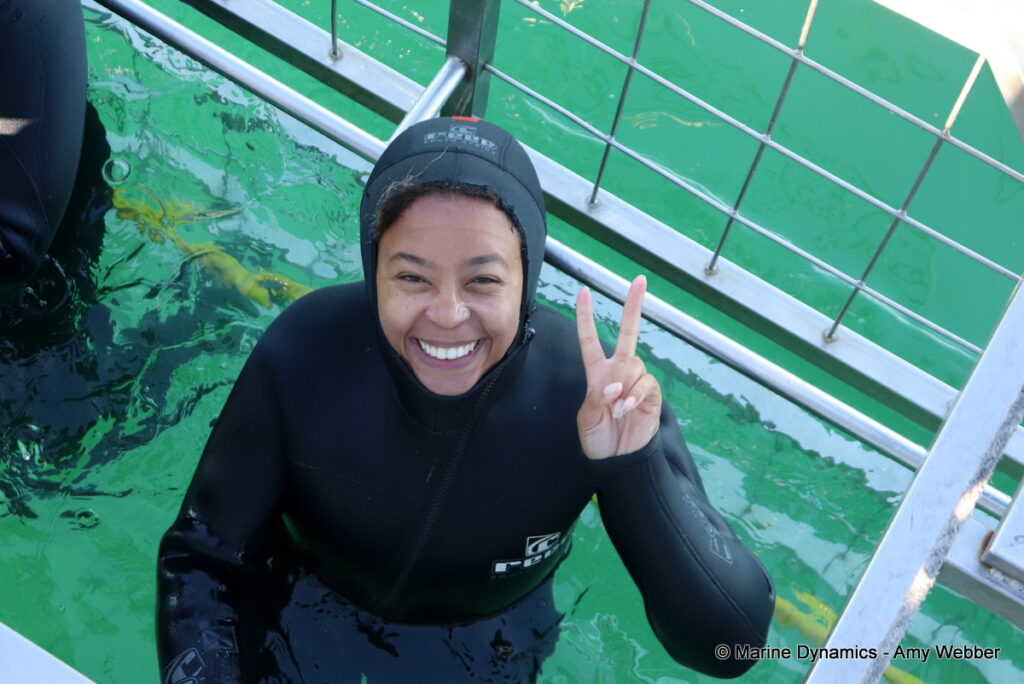 Shark cage diving, Gansbaai, South Africa