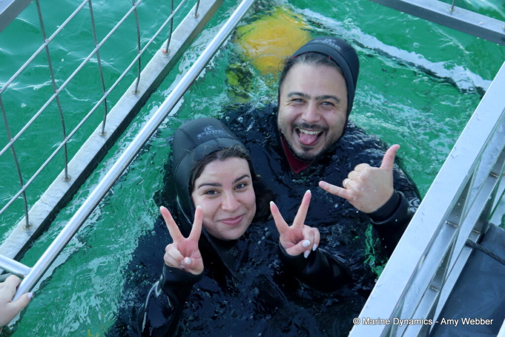Shark cage diving, Gansbaai, South Africa