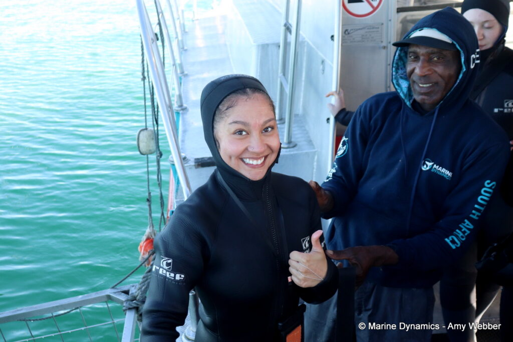 Shark cage diving, Gansbaai, South Africa