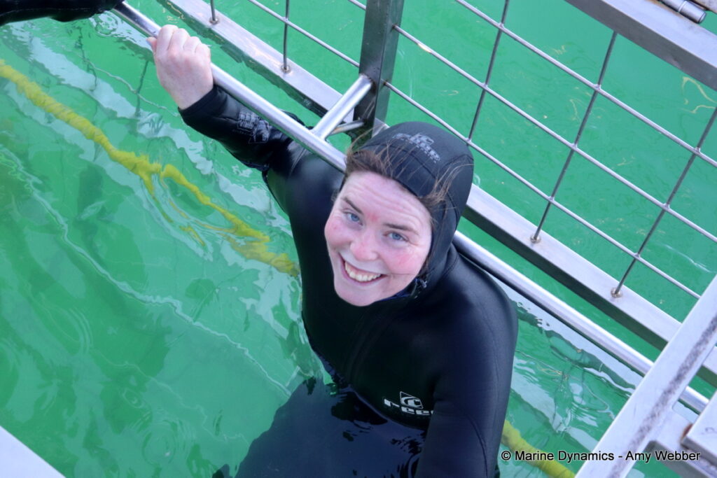 Shark cage diving, Gansbaai, South Africa